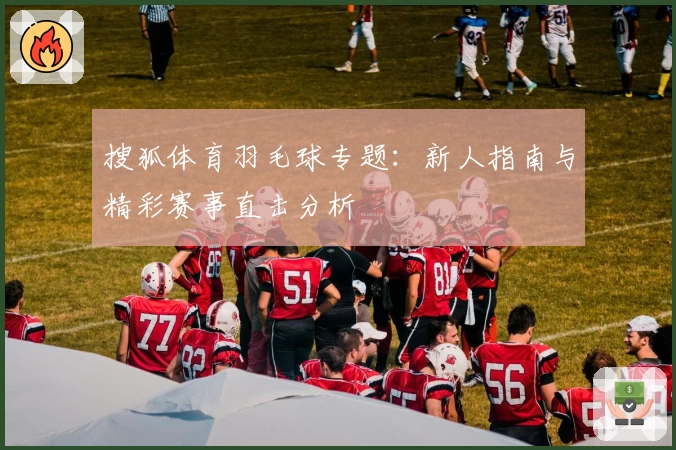 搜狐体育羽毛球专题：新人指南与精彩赛事直击分析