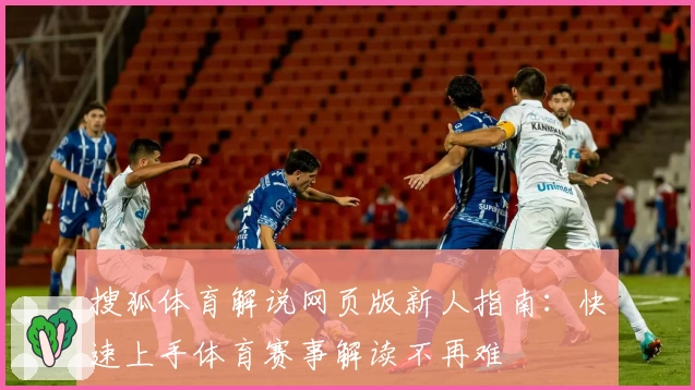 搜狐体育解说网页版新人指南：快速上手体育赛事解读不再难