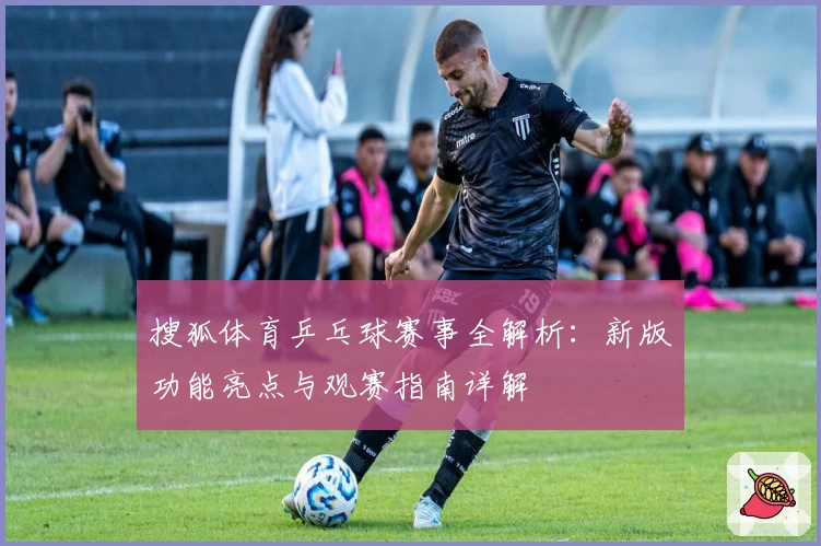 搜狐体育乒乓球赛事全解析：新版功能亮点与观赛指南详解