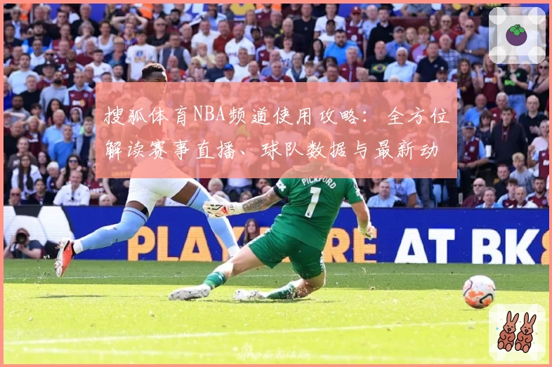搜狐体育NBA频道使用攻略：全方位解读赛事直播、球队数据与最新动态