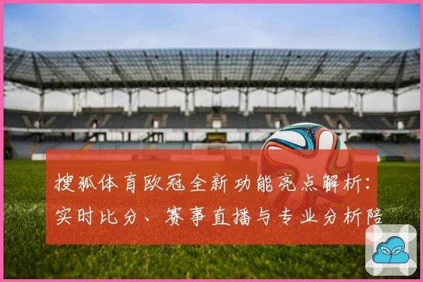 搜狐体育欧冠全新功能亮点解析：实时比分、赛事直播与专业分析陪你畅享足球盛宴